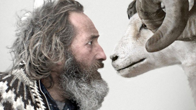 imagen Rams, la historia de dos hombre y ocho ovejas: con Islandia en el corazón